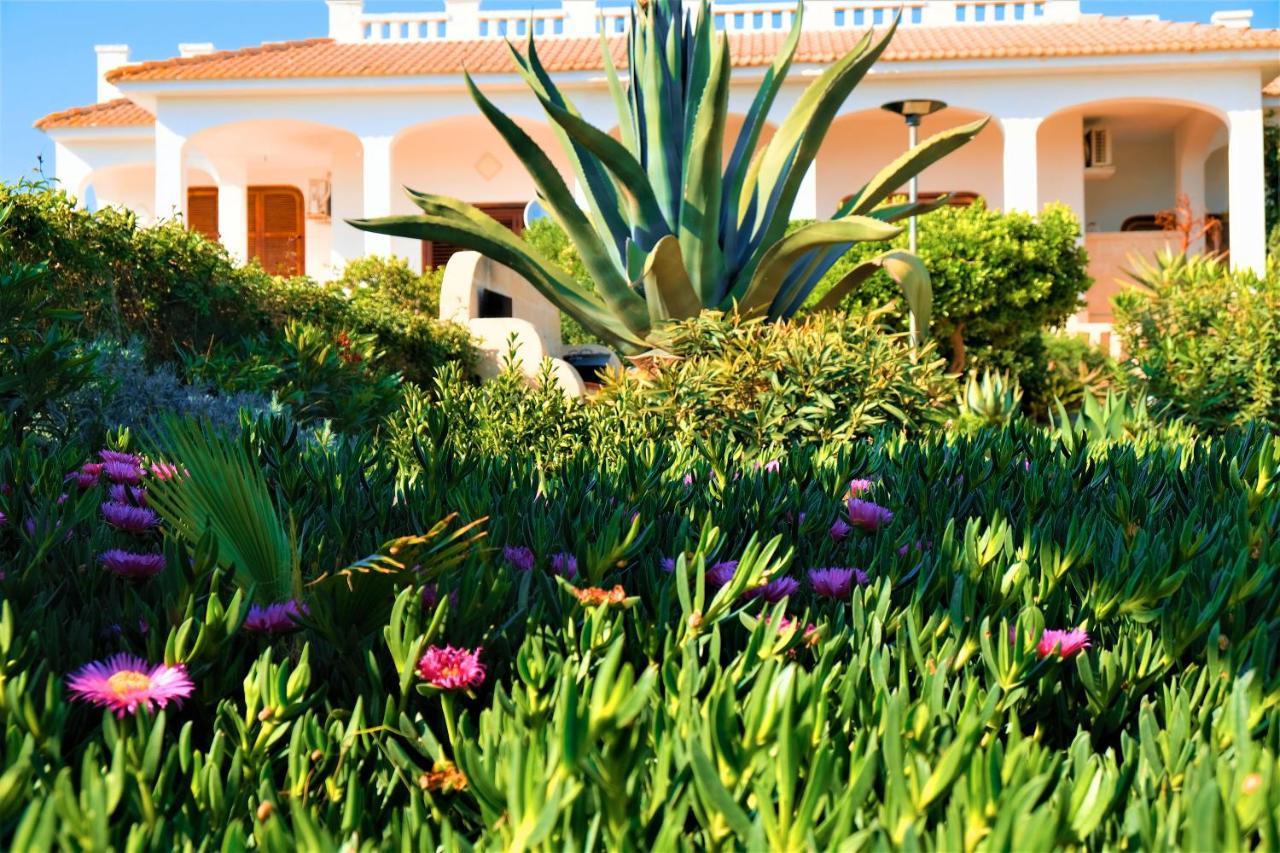 Villa Sette Nani Торре-Лапилло Экстерьер фото